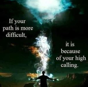 Meet your Posher, Judy